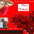 F�vrier 2011